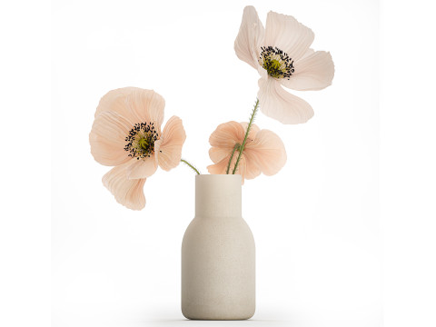 Beautiful Bouquet Of Beautiful Wild Flowers Poppy 468 3D मॉडल