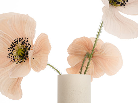 Beautiful Bouquet Of Beautiful Wild Flowers Poppy 468 3D मॉडल
