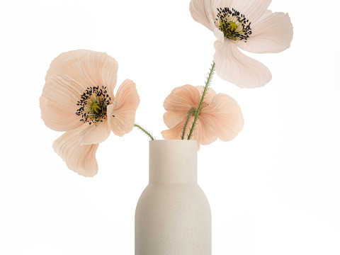 Beautiful Bouquet Of Beautiful Wild Flowers Poppy 468 3D मॉडल
