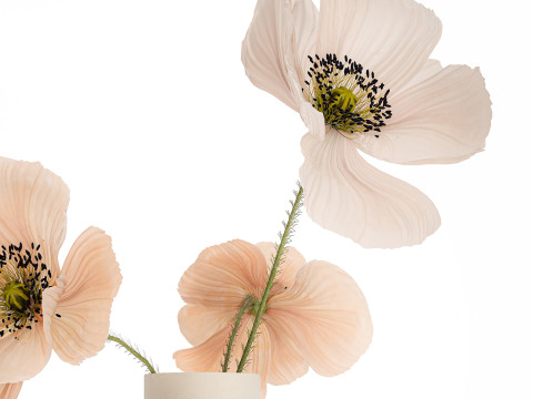 Beautiful Bouquet Of Beautiful Wild Flowers Poppy 468 3D मॉडल