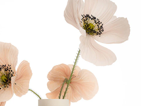 Wundersch&ouml;ner Blumenstrau&szlig; aus wundersch&ouml;nen Wildblumen Mohn 468 3D Modell