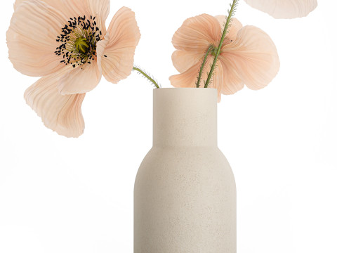 Beautiful Bouquet Of Beautiful Wild Flowers Poppy 468 3D मॉडल