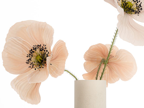 Beautiful Bouquet Of Beautiful Wild Flowers Poppy 468 3D मॉडल