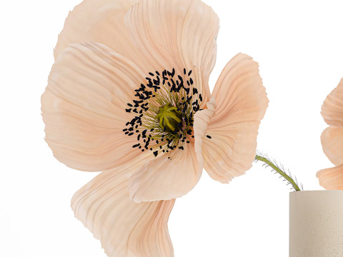Beautiful Bouquet Of Beautiful Wild Flowers Poppy 468 3D मॉडल