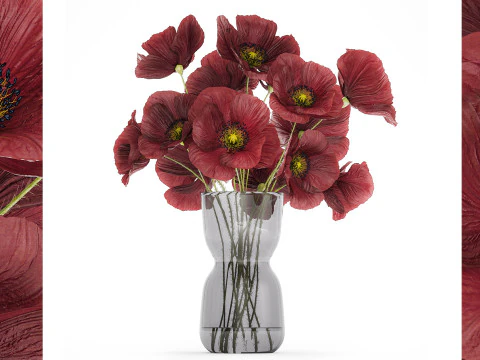 Beautiful Bouquet Of Wild Flowers Poppy 469 3D Model