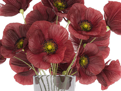 Beautiful Bouquet Of Wild Flowers Poppy 469 3D Model