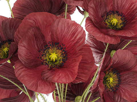 Beautiful Bouquet Of Wild Flowers Poppy 469 3D 模型