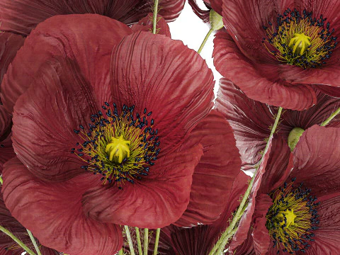 Beautiful Bouquet Of Wild Flowers Poppy 469 3D Model