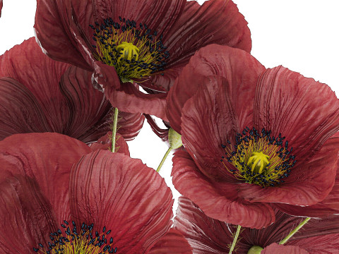 Beautiful Bouquet Of Wild Flowers Poppy 469 3D 模型