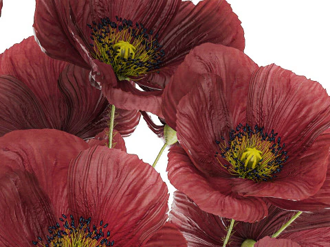 Beautiful Bouquet Of Wild Flowers Poppy 469 3D Model