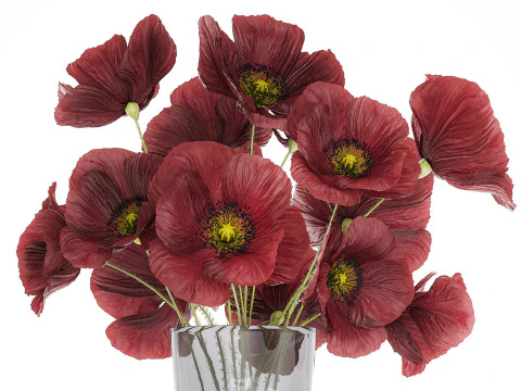 Beautiful Bouquet Of Wild Flowers Poppy 469 3D Model