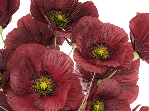 Beautiful Bouquet Of Wild Flowers Poppy 469 3D 模型