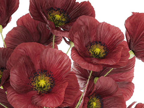 Beautiful Bouquet Of Wild Flowers Poppy 469 3D Model