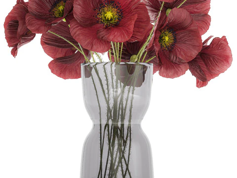 Beautiful Bouquet Of Wild Flowers Poppy 469 3D Model