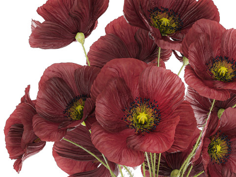 Beautiful Bouquet Of Wild Flowers Poppy 469 3D 模型