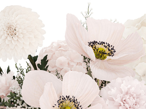 Small Bouquet Of Pink And White Flowers Poppy 470 3D 모델