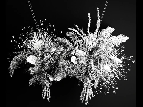 Buqu&ecirc; de flores secas com pampas para instala&ccedil;&atilde;o suspensa 471 Modelo 3D