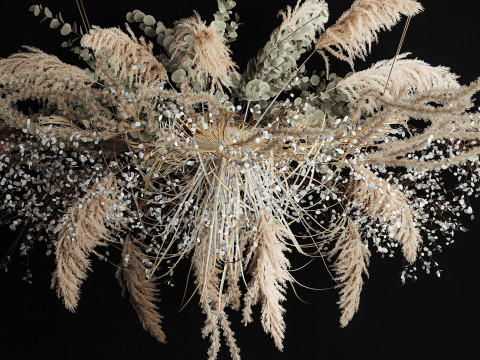 Hanging Installation Bouquet Of Dried Flowers pampas 472 Modèle 3D