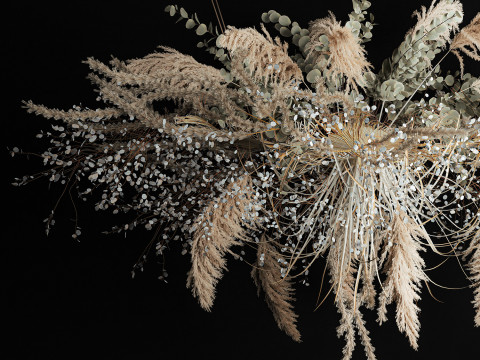 Hanging Installation Bouquet Of Dried Flowers pampas 472 Modèle 3D