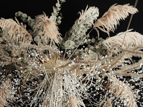 Hanging Installation Bouquet Of Dried Flowers pampas 472 Modèle 3D