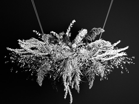 Hanging Installation Bouquet Of Dried Flowers pampas 472 Modèle 3D