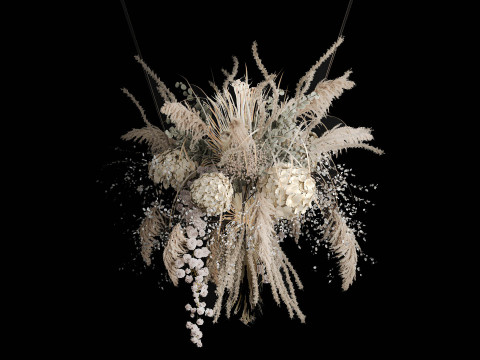 Hanging Installation Bouquet Of Dried Flowers Hydrangea pampas Model 3D