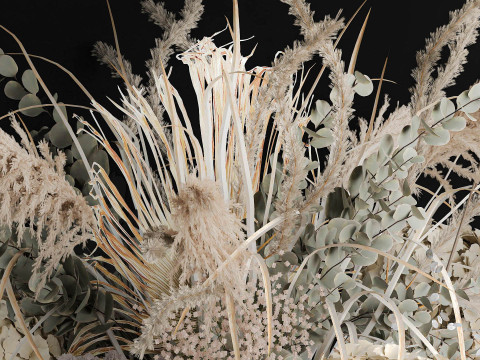 Hanging Installation Bouquet Of Dried Flowers Hydrangea pampas Model 3D