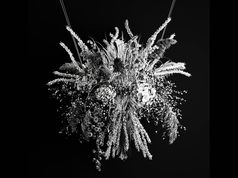 Hanging Installation Bouquet Of Dried Flowers Hydrangea pampas Model 3D