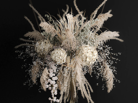 Hanging Installation Bouquet Of Dried Flowers Hydrangea pampas Model 3D