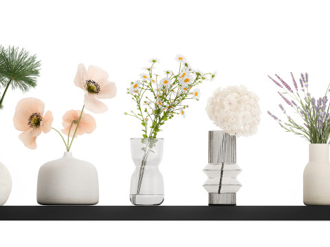 Collection of small bouquets of white wild flowers 474 3D Model