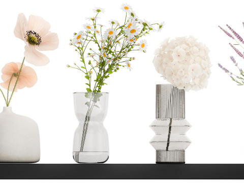 Collection of small bouquets of white wild flowers 474 Model 3D