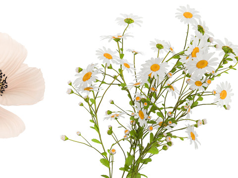 Collection of small bouquets of white wild flowers 474 Model 3D