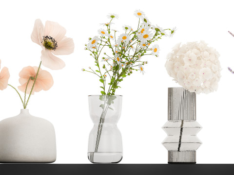 Collection of small bouquets of white wild flowers 474 Model 3D