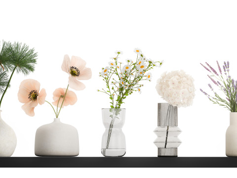 Collection of small bouquets of white wild flowers 474 Model 3D
