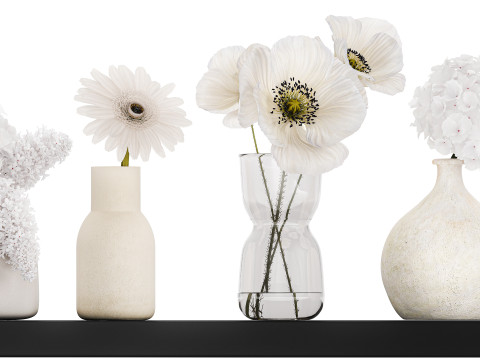 Collection Of Small Bouquets Of White Flowers 475 3D Модель