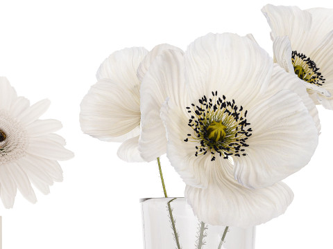 Collection Of Small Bouquets Of White Flowers 475 3D Модель