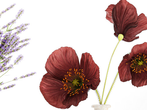 Collection Of Small Bouquets Of Flowers Vases 476 3Dモデル