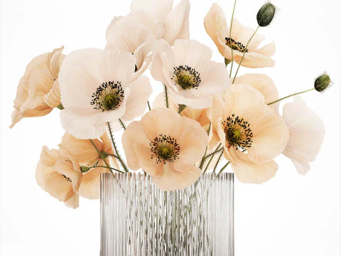 꽃병에 든 흰색 야생화 양귀비 꽃다발 479 3D 모델