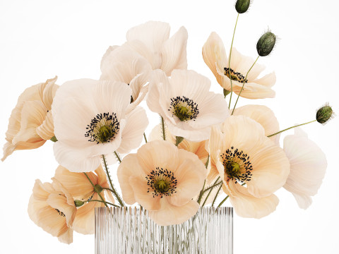 Bouquet Of White Wild Flowers Poppy In A Vase 479 3D Модель