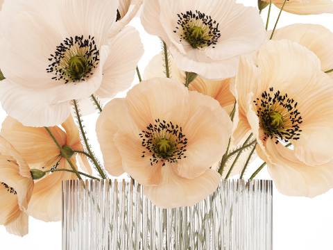 Bouquet Of White Wild Flowers Poppy In A Vase 479 3D Модель