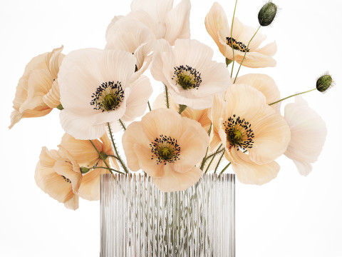Bouquet Of White Wild Flowers Poppy In A Vase 479 3D Модель