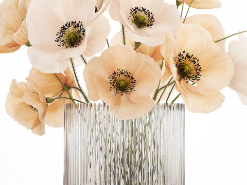 Bouquet Of White Wild Flowers Poppy In A Vase 479 3D Модель