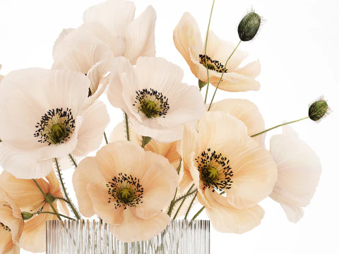 Bouquet Di Fiori Bianchi Di Papavero Selvatico In Un Vaso 479 Modello 3D