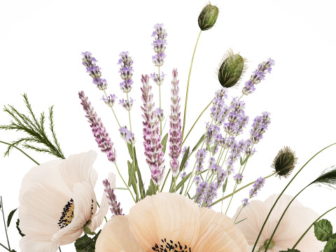 Beautiful bouquet of wild flowers Lavender poppy 480 Modelo 3D