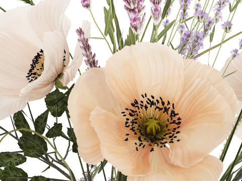 Beautiful bouquet of wild flowers Lavender poppy 480 Modelo 3D