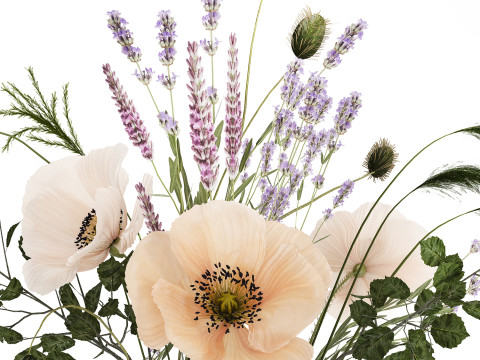 Beautiful bouquet of wild flowers Lavender poppy 480 Modelo 3D