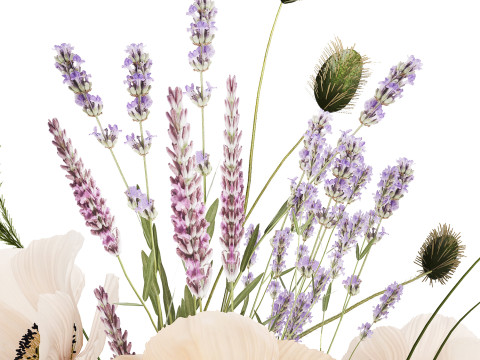 Beautiful bouquet of wild flowers Lavender poppy 480 Modelo 3D