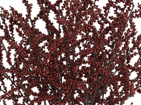 Beautiful bouquet of branches with red berries 481 3D-Modell