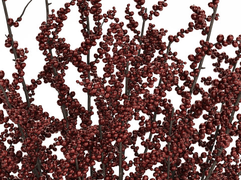 Beautiful bouquet of branches with red berries 481 3D-Modell
