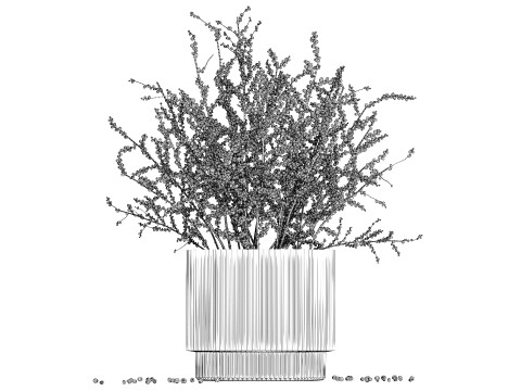 Beautiful bouquet of branches with red berries 481 3D-Modell